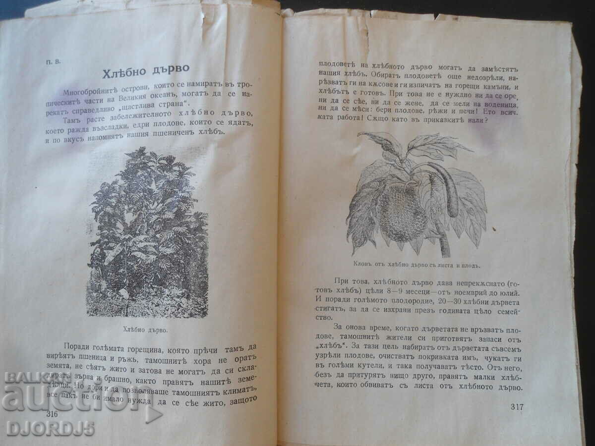 "VENETSA" magazine, vol. February 5, 1941 - 5 "VENETSA" magazine, vol. February 5, 1941 - 5