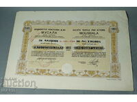 1924 Share Musala Joint Stock Company 10.000 BGN