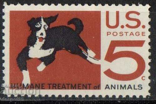 1966. USA. Animal welfare.