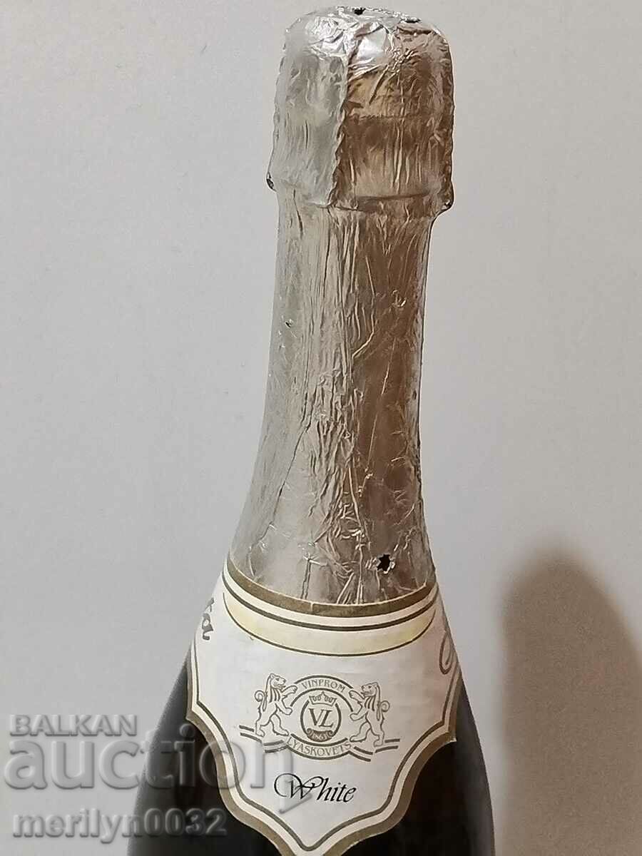 Bottle of champagne Fiesta wine vintage 2005 UNPRINTED - 5