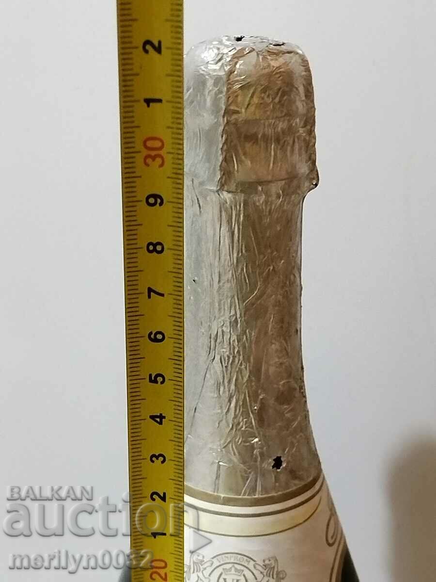 Bottle of champagne Fiesta wine vintage 2005 UNPRINTED - 6