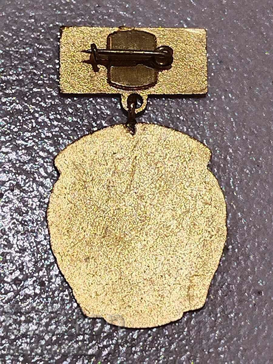 Auction Badge Aeroclub Popovo Valentina Tereshkova badge Auction Badge Aeroclub Popovo Valentina Tereshkova badge