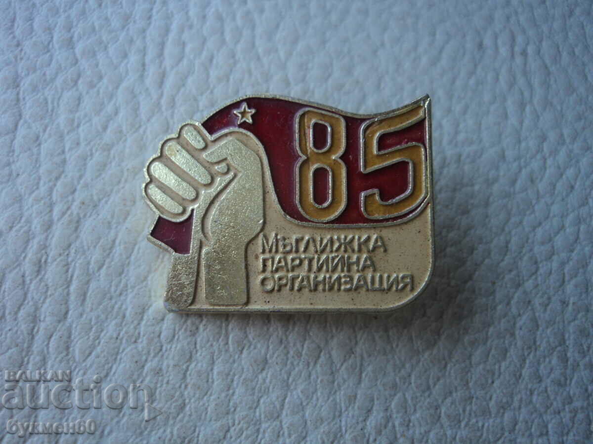 Badge 85 Years Muggle Party Organization