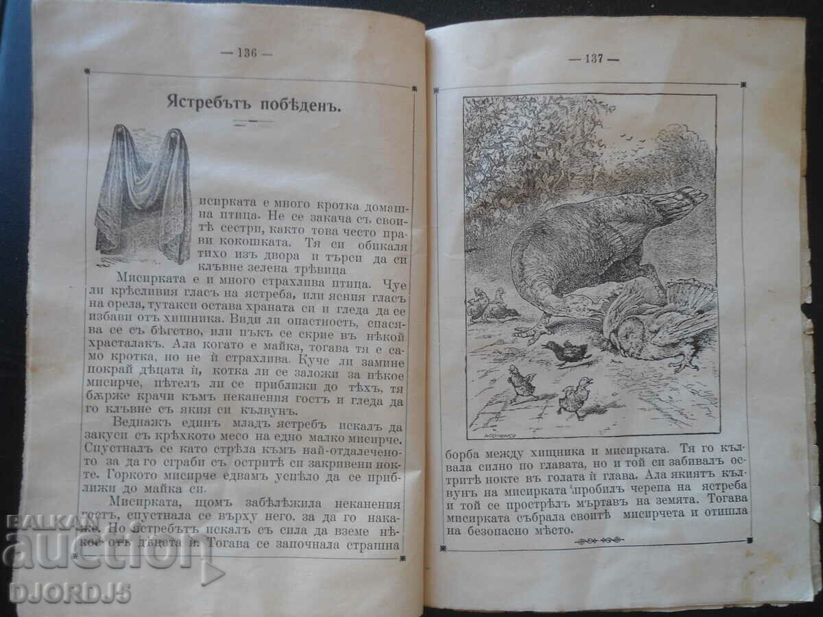 MLADINA, Illustrated magazine for children, Vol. 6, June 1906 - 5