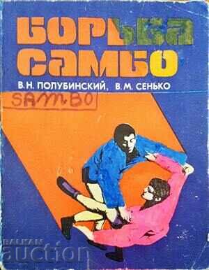 Sambo-V fight. N. Polubinsky