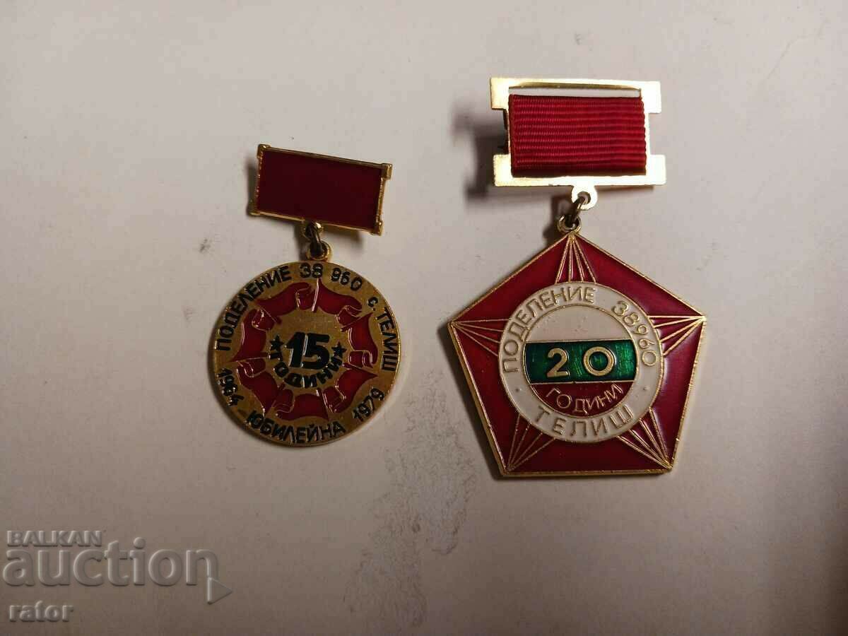 Badge, medal - division 38960 TELISH. RARE SIGNS!