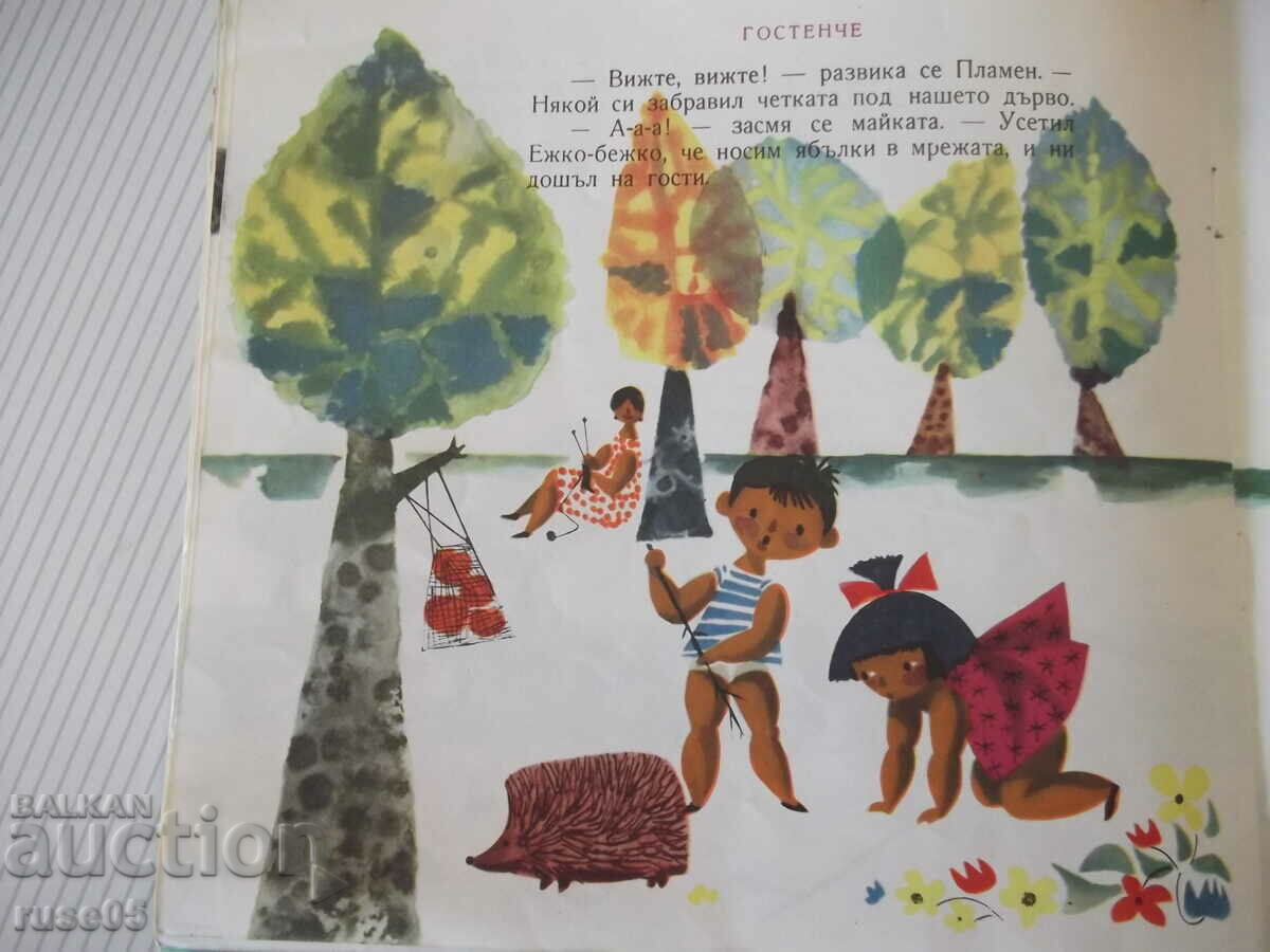 Book "On the forest meadow - Nadia Trendafilova" - 20 pages. - 5 Book "On the forest meadow - Nadia Trendafilova" - 20 pages. - 5