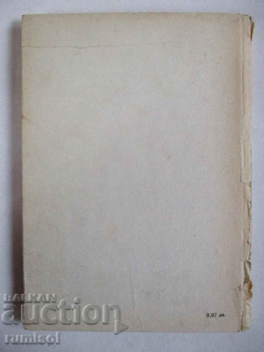 The secret of the bird island - Ivan Petkov - 7 The secret of the bird island - Ivan Petkov - 7