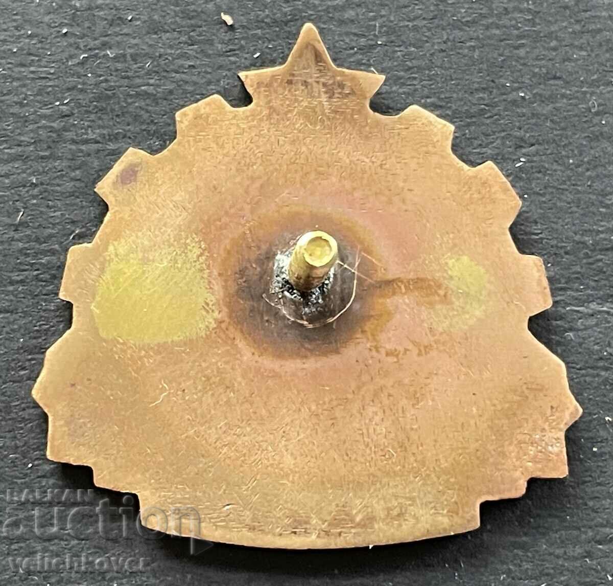 38800 Bulgaria sign DVTA Plovdiv enamel on screw 1950s with price 35.00 BGN | € 17.90 38800 Bulgaria sign DVTA Plovdiv enamel on screw 1950s with price 35.00 BGN | € 17.90