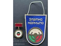 38808 Bulgaria medal and flag Golden Helm SBA