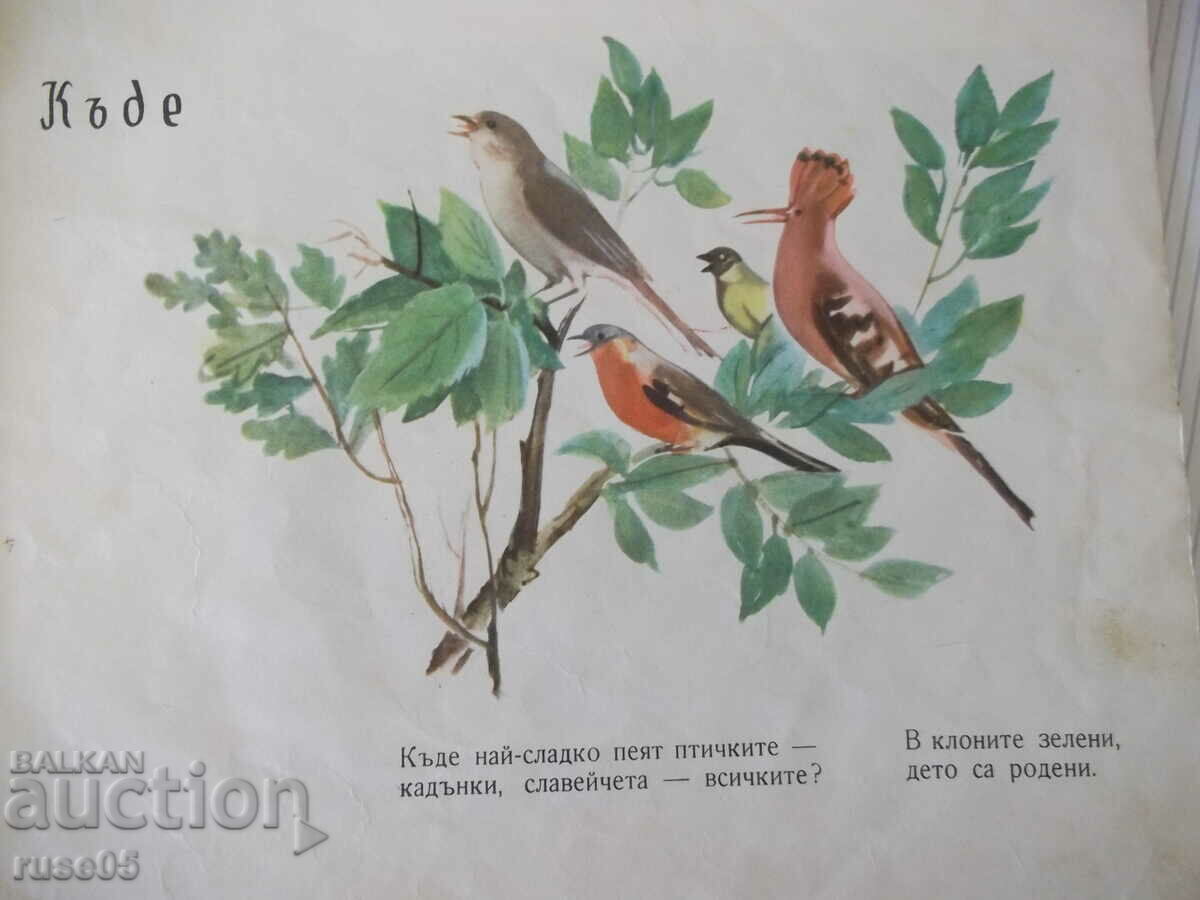 Auction Book "Colored book - Leda Mileva" - 16 pages. Auction Book "Colored book - Leda Mileva" - 16 pages.