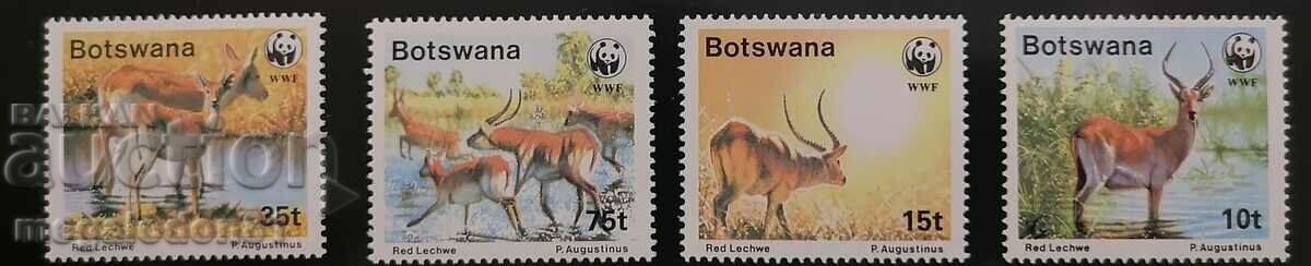 Botswana - WWF fauna, Lechwe antelope