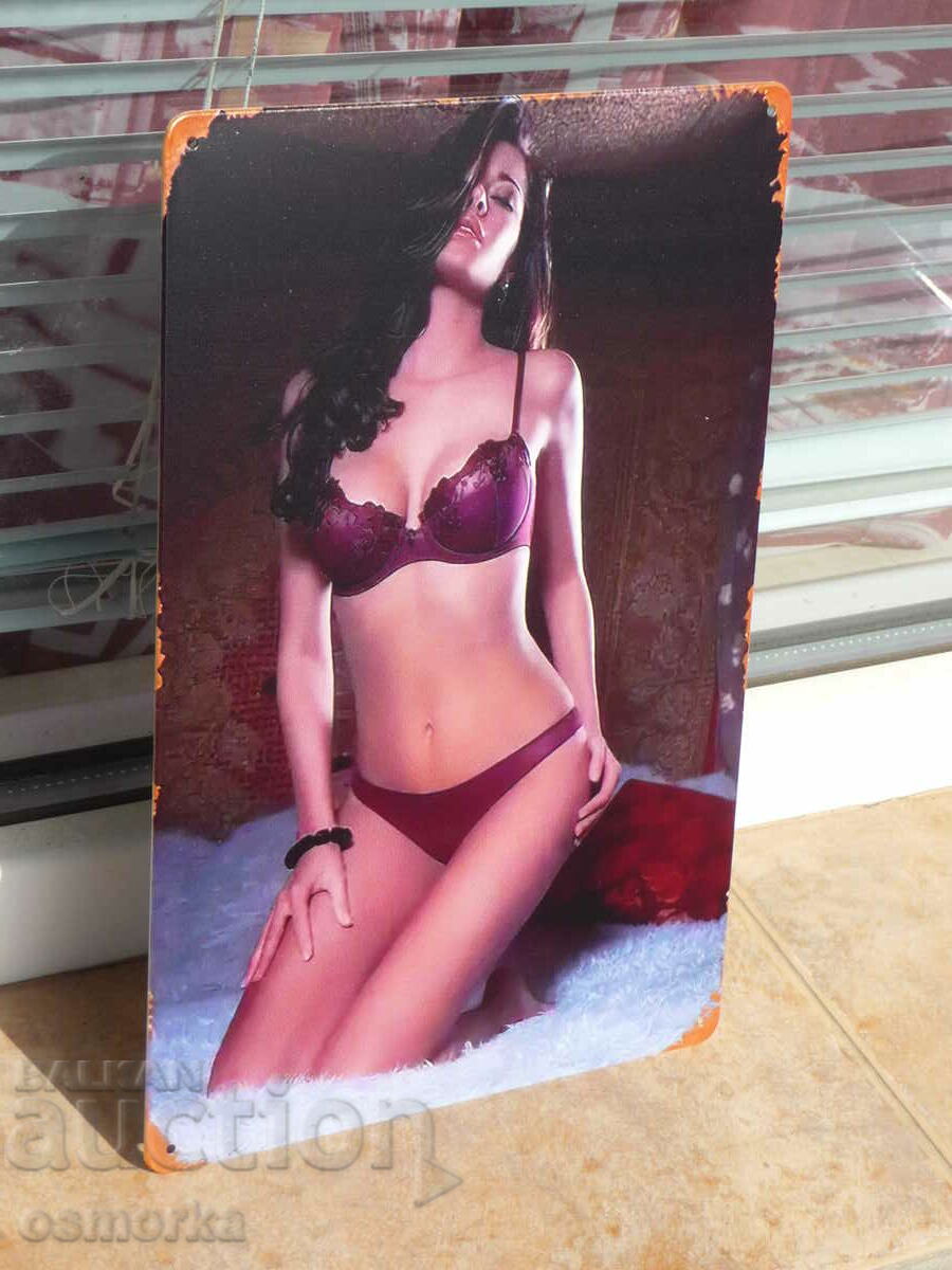 Метална табела еротика брюнетка по бельо желание страст очак с цена 18.00 лв. | € 9.20 Метална табела еротика брюнетка по бельо желание страст очак с цена 18.00 лв. | € 9.20