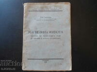 МАГНЕЗИИ и ЖИВОТА, Асенъ Хаджиоловъ, 1934 год.