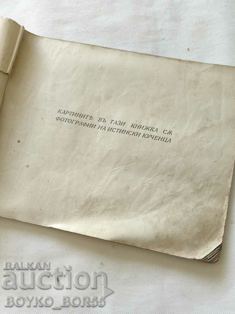 THE FOUR PUPPIES A Tale in Verse for Children, 1941 with price 27.00 BGN | € 13.80