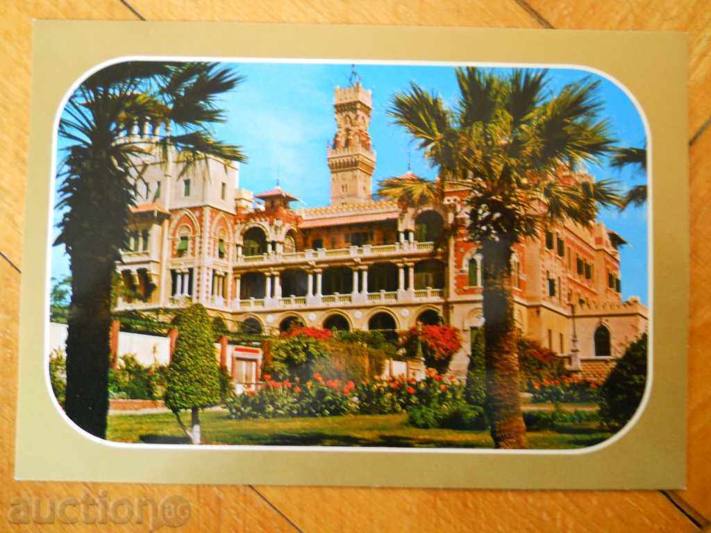 card - Egypt (Alexandria)