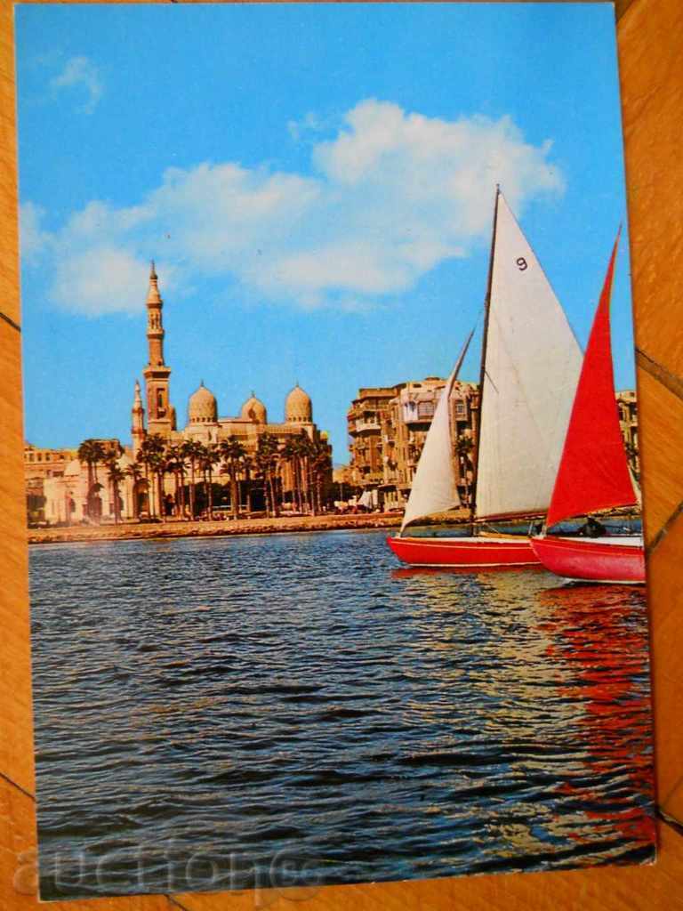 card - Egypt (Alexandria)