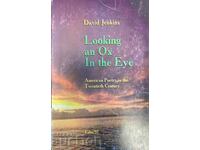 Looking an Ox In the Eye - David Jenkins