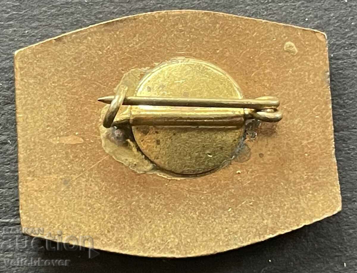 38844 Bulgaria sign coat of arms Galabovo enamel 1960s with price 10.00 BGN | € 5.11 38844 Bulgaria sign coat of arms Galabovo enamel 1960s with price 10.00 BGN | € 5.11