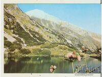 Card Bulgaria Pirin Lake "Okoto" and Vihren Peak 2*