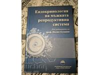 Endocrinologia sistemului reproducător masculin Philip Cumano