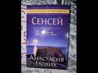 Сенсей. Книга 2	Анастасия Нових