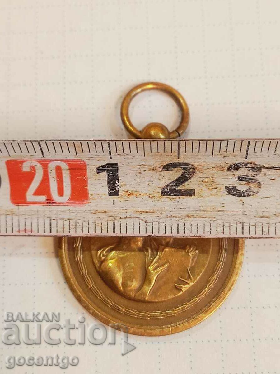 Licitație Placa cu medalie Palatul Artelor Charleroi