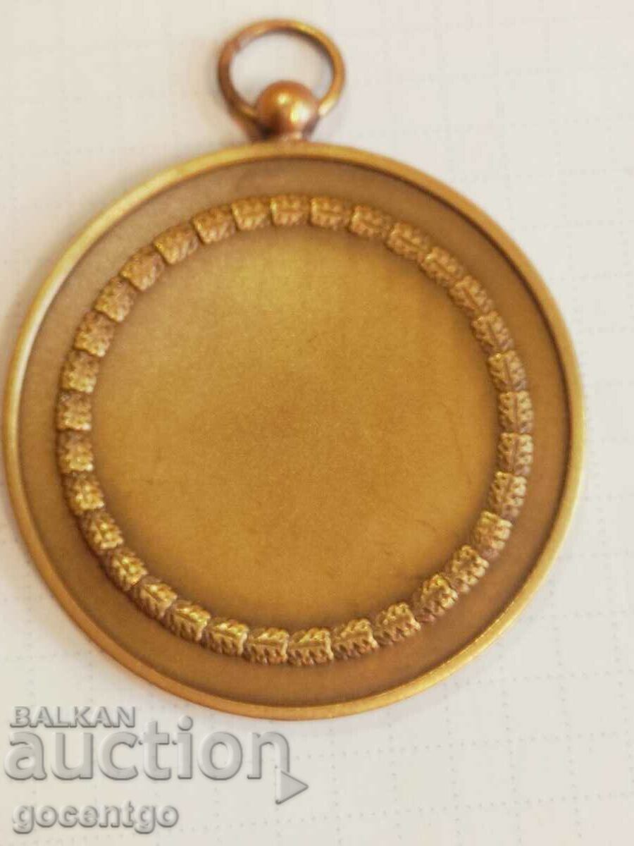 Placa cu medalie Palatul Artelor Charleroi - 6