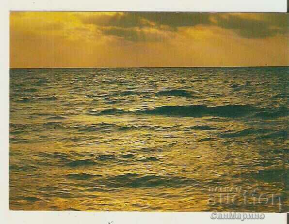 Card Bulgaria Bulgarian Black Sea View 29*