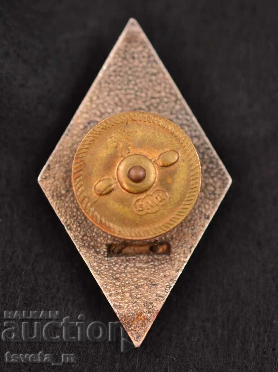 Auction  Officer's rhombus VA G.S. Rakovsky sign badge medal