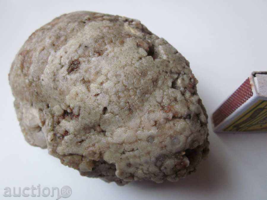 Παράδοση απολιθώματα -8 Παράδοση απολιθώματα -8