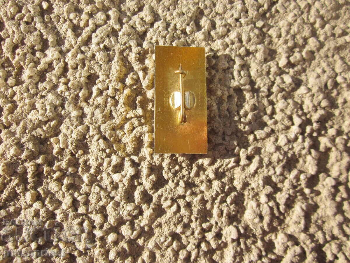 Delivery of Bulgarian red cross badge 100 years BCK in Sofia