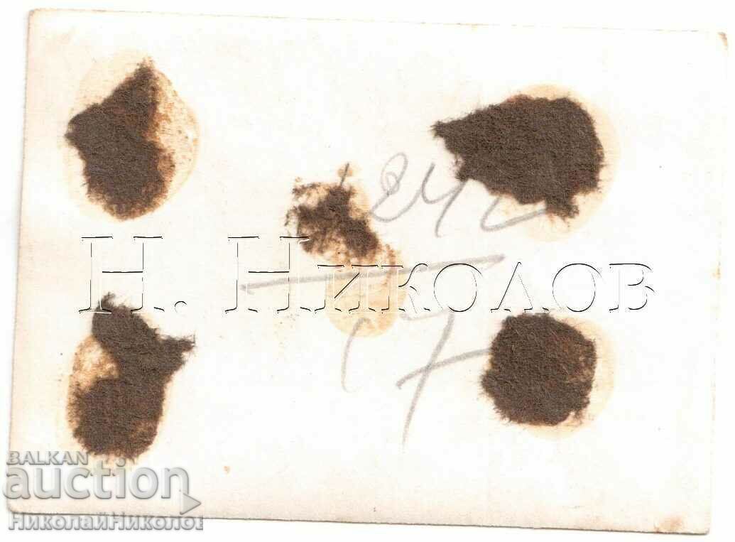 LITTLE OLD PHOTO SOFIA WALK IN THE CENTER D141 with price 3.00 BGN | € 1.53 LITTLE OLD PHOTO SOFIA WALK IN THE CENTER D141 with price 3.00 BGN | € 1.53