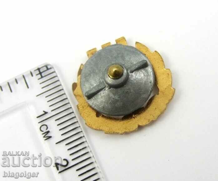 Auction ANNIVERSARY FOOTBALL BADGE-SK POZNAN-POLAND-SCREW Auction ANNIVERSARY FOOTBALL BADGE-SK POZNAN-POLAND-SCREW