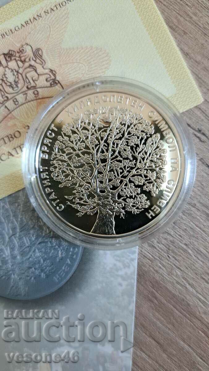 Commemorative coin "The Old Elm" 2018