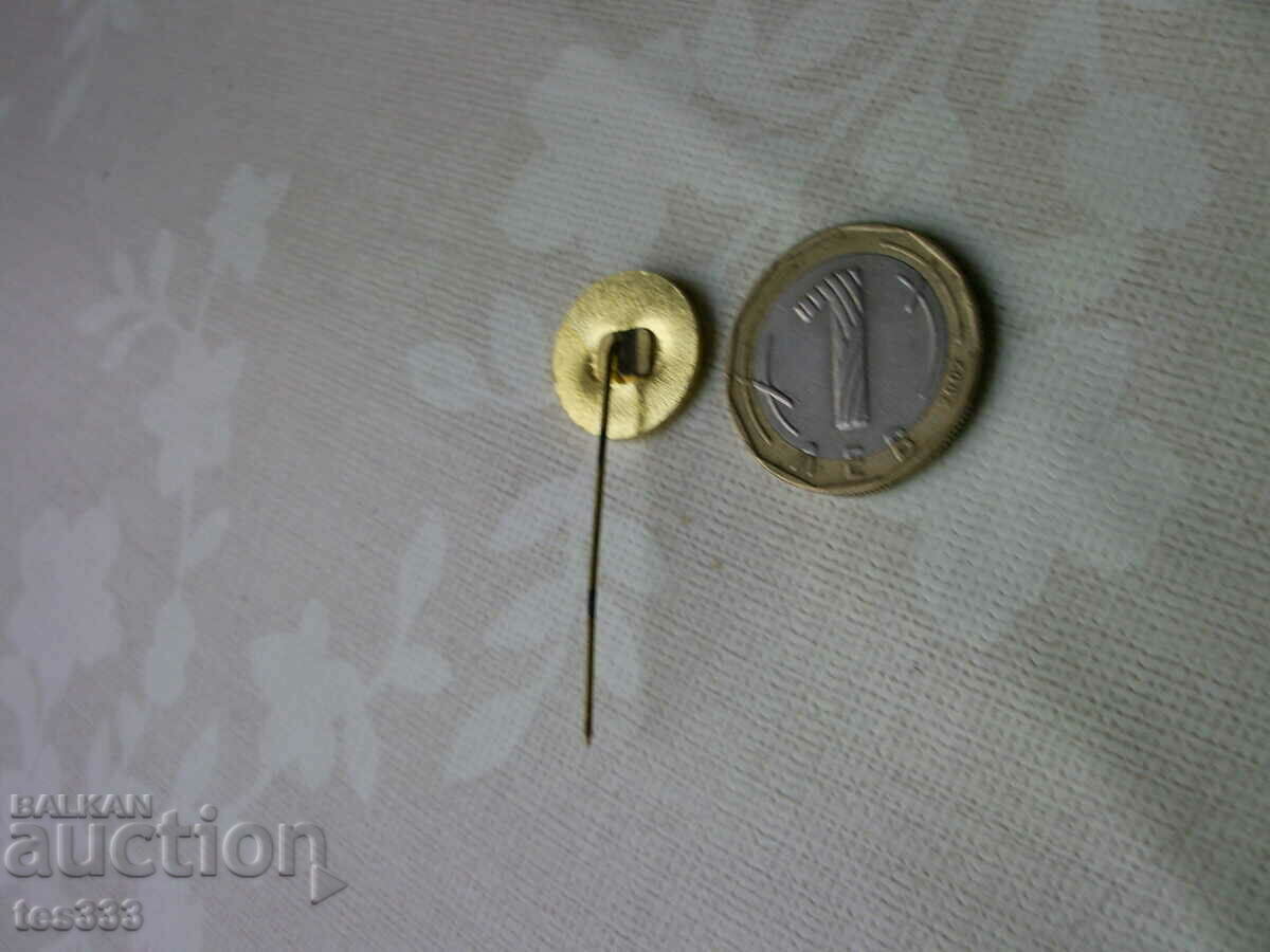 Значка Д-во Локомотив - 5 Значка Д-во Локомотив - 5