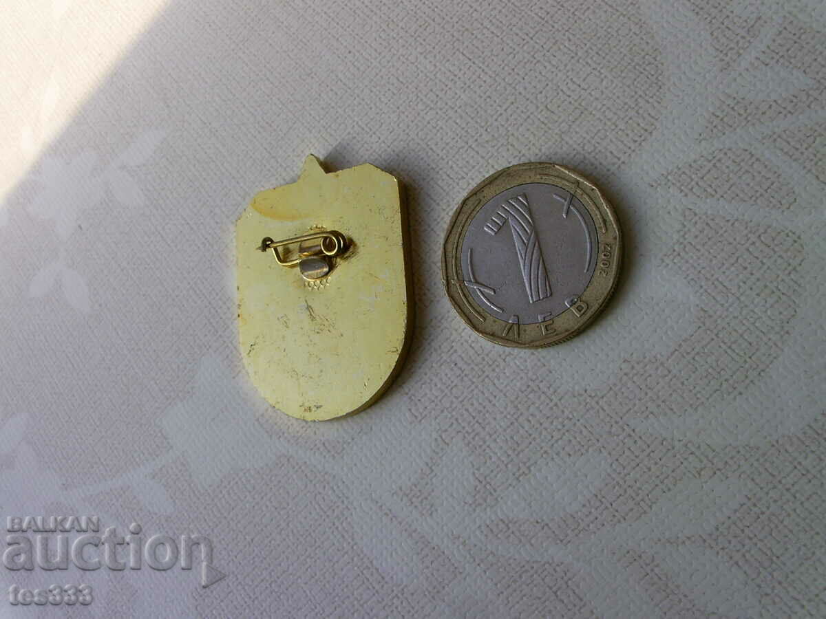 Delivery of Specialized High School Squad Badge Delivery of Specialized High School Squad Badge