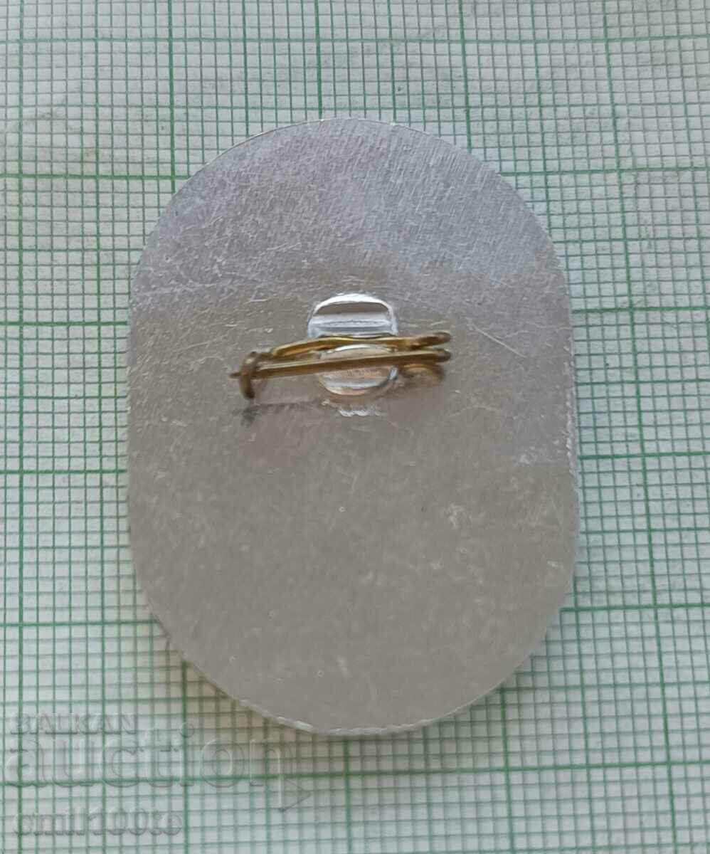 Delivery of Badge - Overview of mass sports for students from the villages of Ruse 83