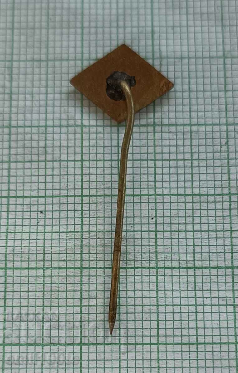 Badge - BSFS Varna - 5 Badge - BSFS Varna - 5