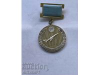 рядък военен знак Заслужил летец