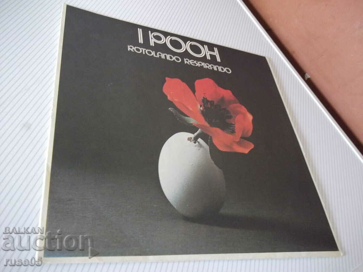 Auction Turntable "IPOOH" Auction Turntable "IPOOH"