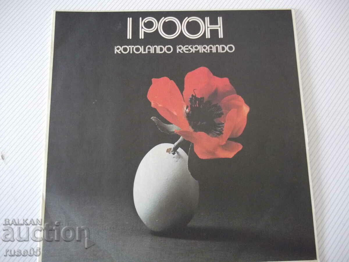 Грамофонна плоча "IPOOH"