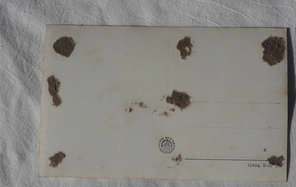 UNUSED CARD VIEW SHIPCHEN MONASTERY 1962 with price € 1.79 | 3.50 BGN UNUSED CARD VIEW SHIPCHEN MONASTERY 1962 with price € 1.79 | 3.50 BGN