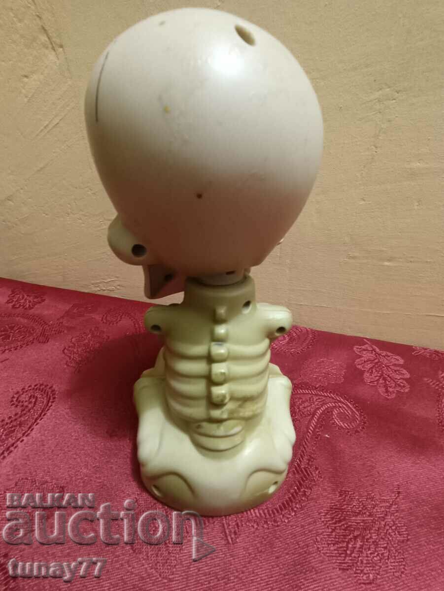 Skeleton Fotorama Johny the skull, one of his is also battery operated - 7