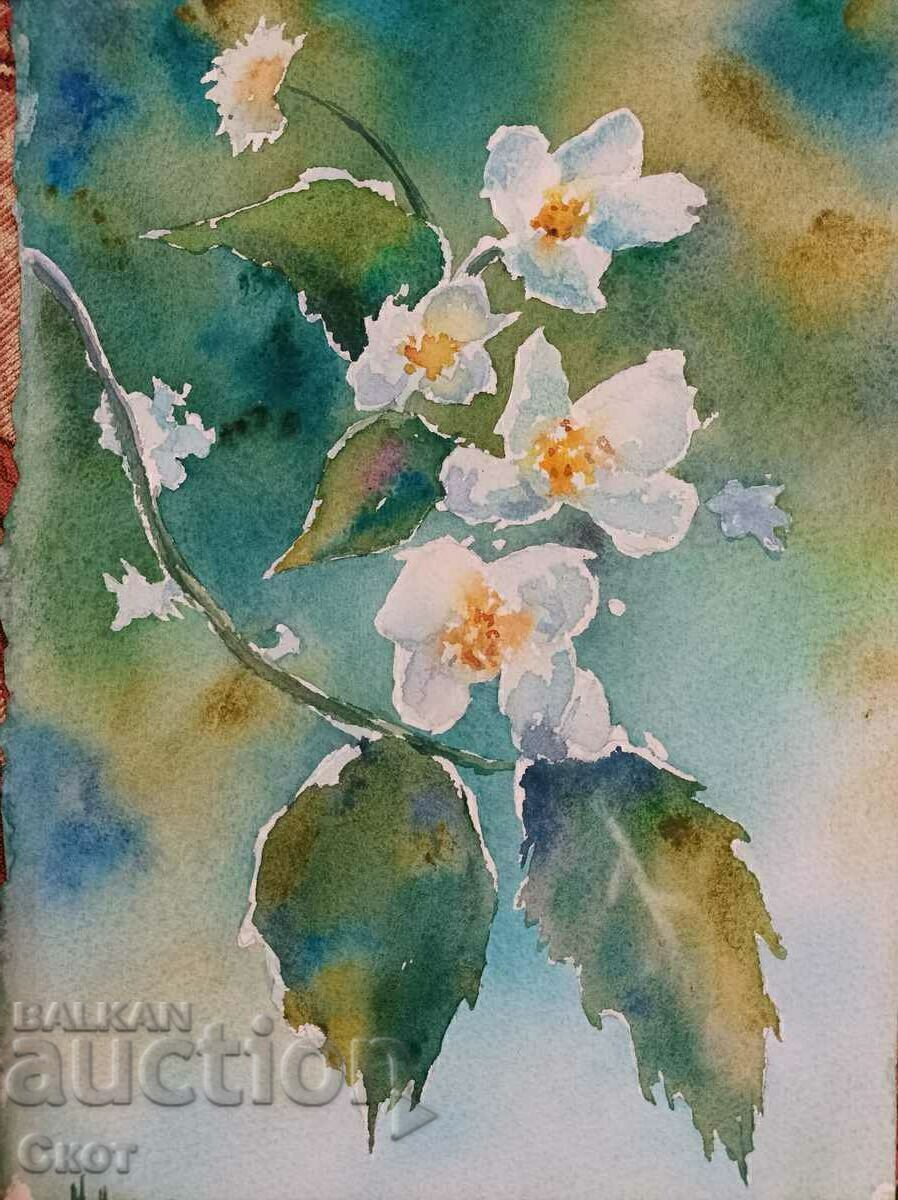 Watercolor drawing