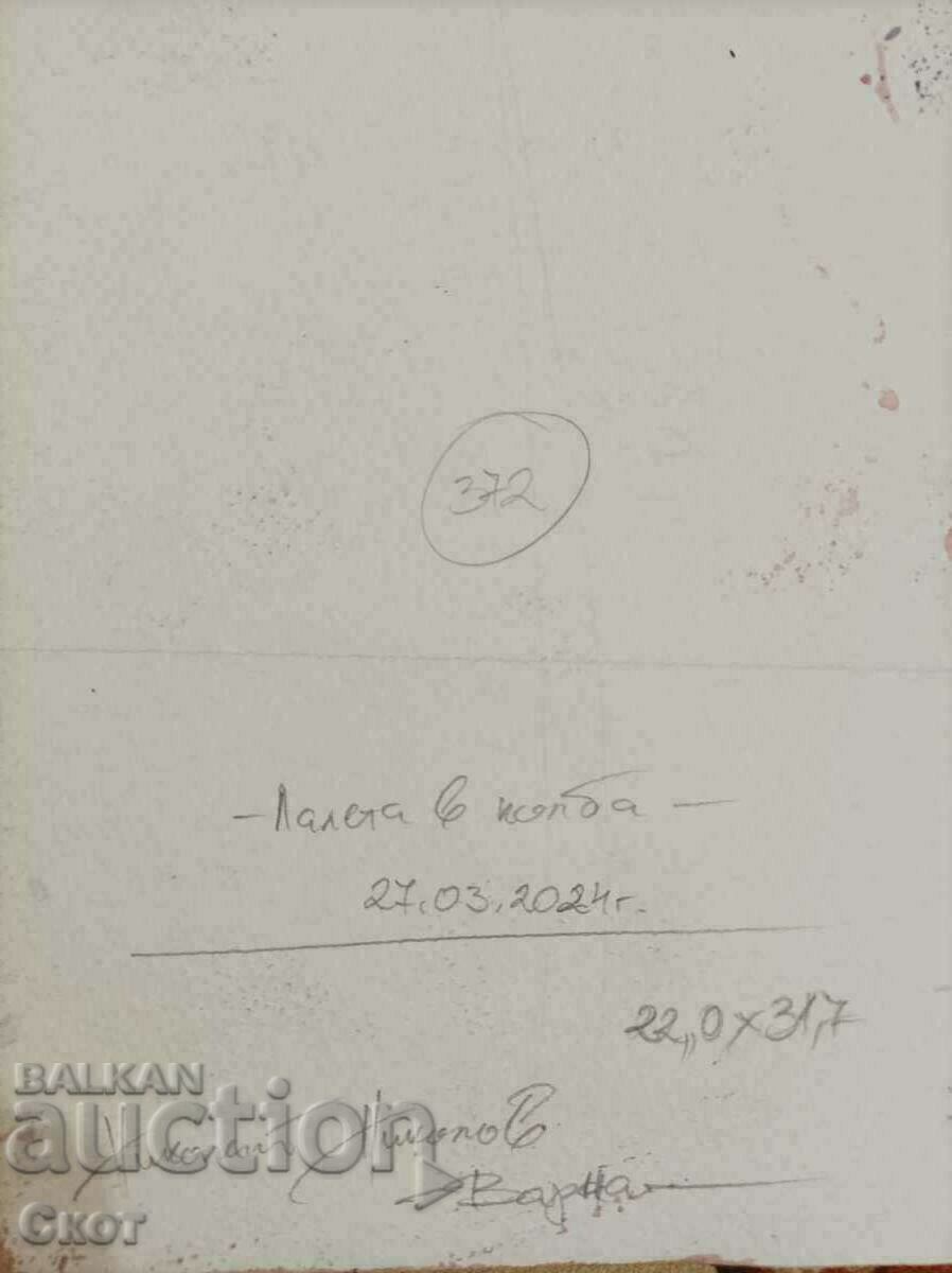 Ακουαρέλα ζωγραφική με τιμή 80.00 BGN | € 40.90 Ακουαρέλα ζωγραφική με τιμή 80.00 BGN | € 40.90