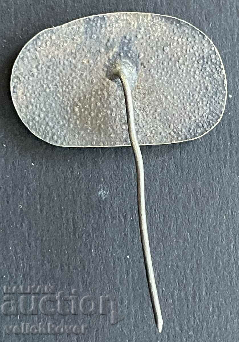 38975 Bulgaria sign Buzludzha congress BSDLP BKP 1891. with price 3.00 BGN | € 1.53 38975 Bulgaria sign Buzludzha congress BSDLP BKP 1891. with price 3.00 BGN | € 1.53