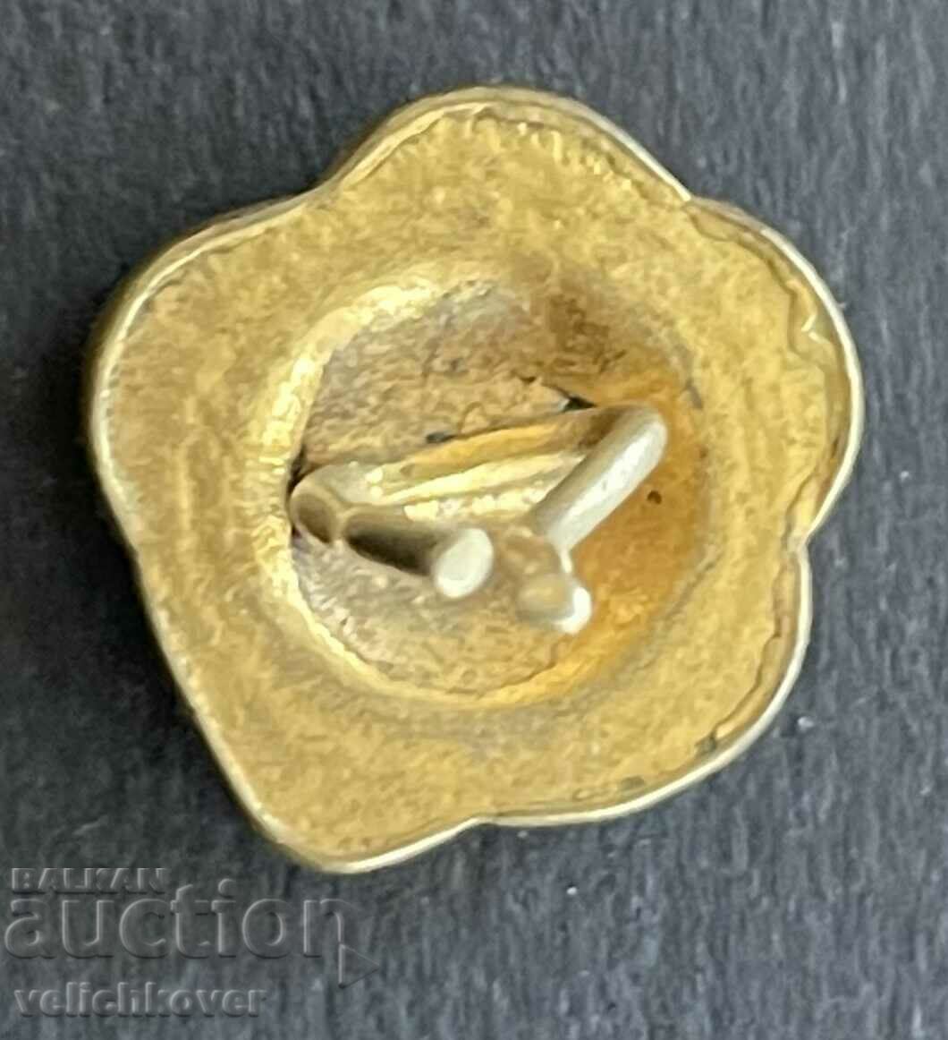 38986 Bulgaria sign flower rose with price 4.00 BGN | € 2.05 38986 Bulgaria sign flower rose with price 4.00 BGN | € 2.05