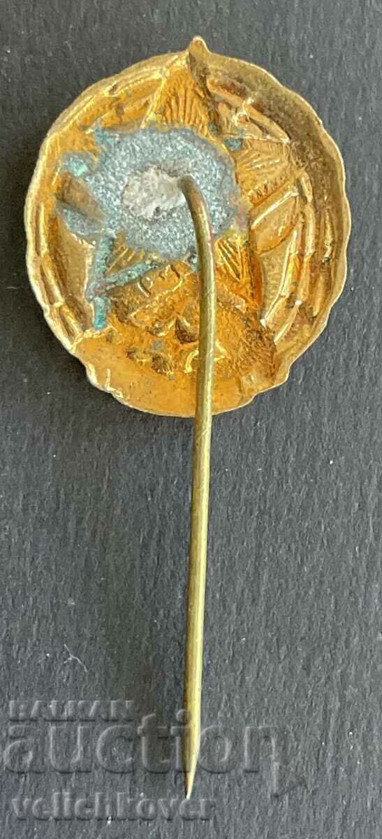 38991 Bulgaria sign DOSO Voluntary organization for assistance with price 5.00 BGN | € 2.56