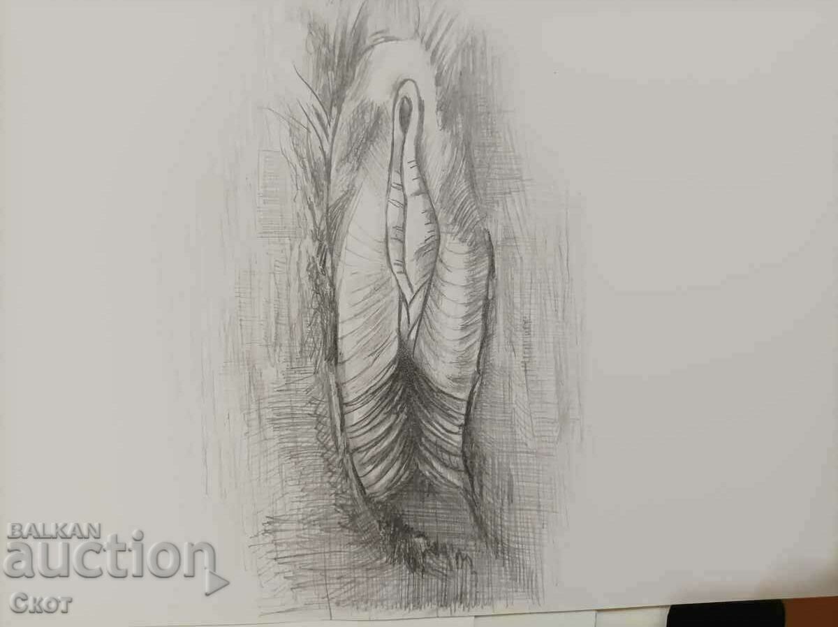 Pencil drawing Pencil drawing